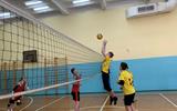 IMG_8539